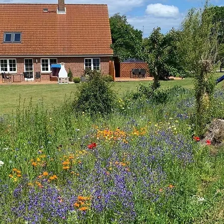Sundblick, Ideal Fuer Familien * Fehmarn